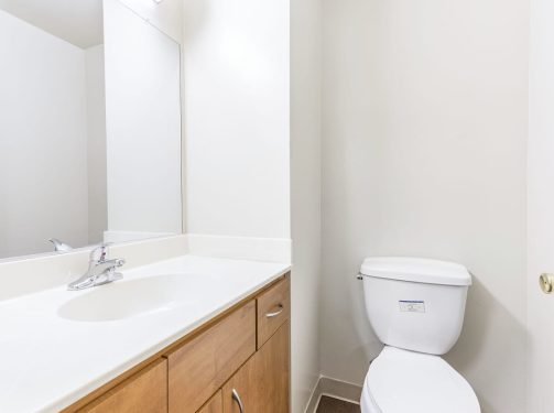 hamlin estate - bathroom